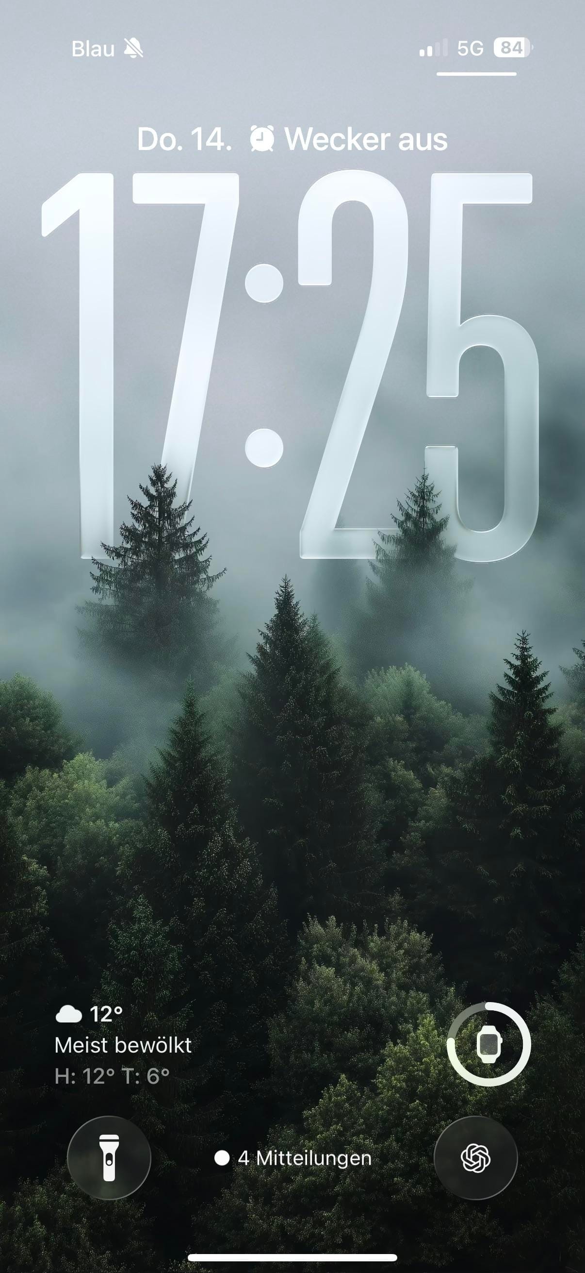 Colorful glass icons and a B&W foggy forest wallpaper