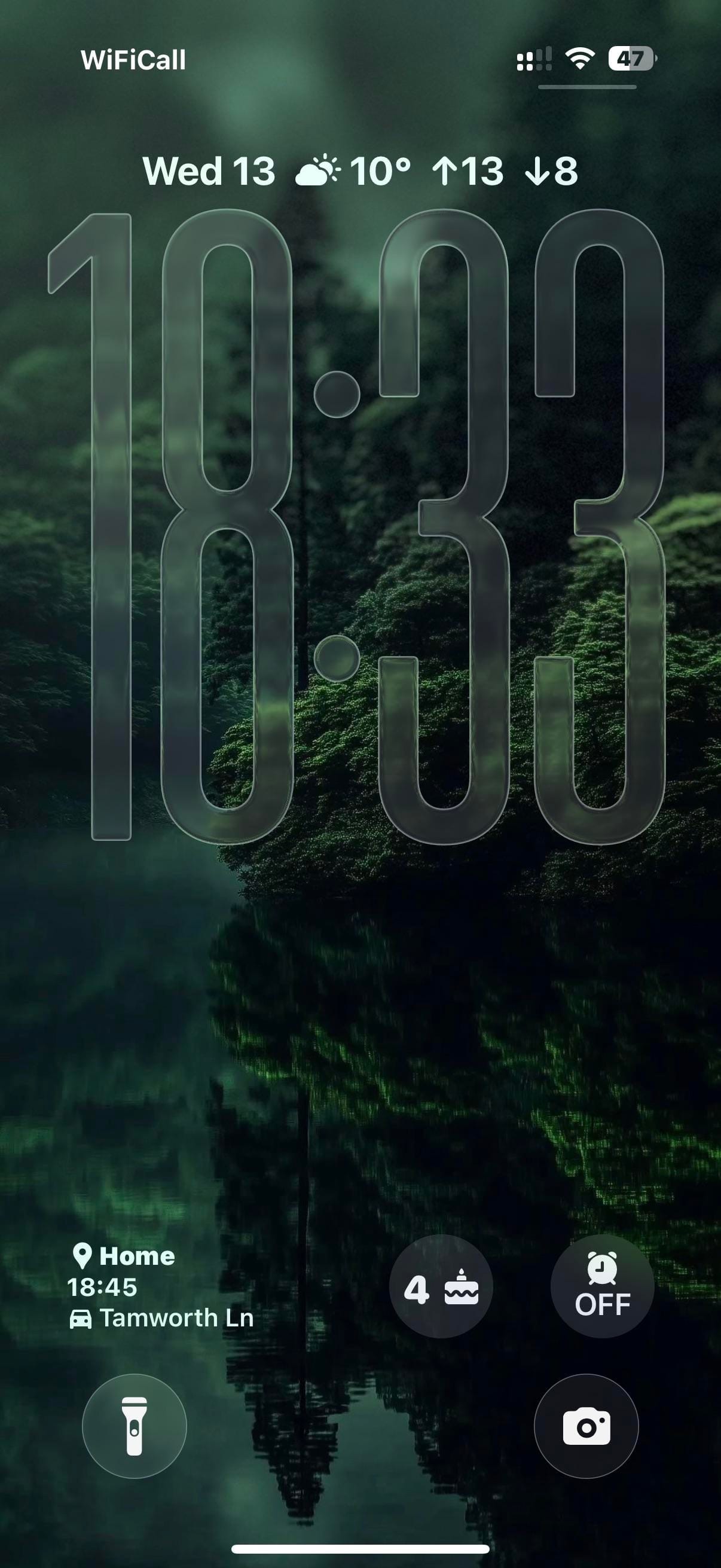 Dark forest home screen with two Widgy widgets and no icons