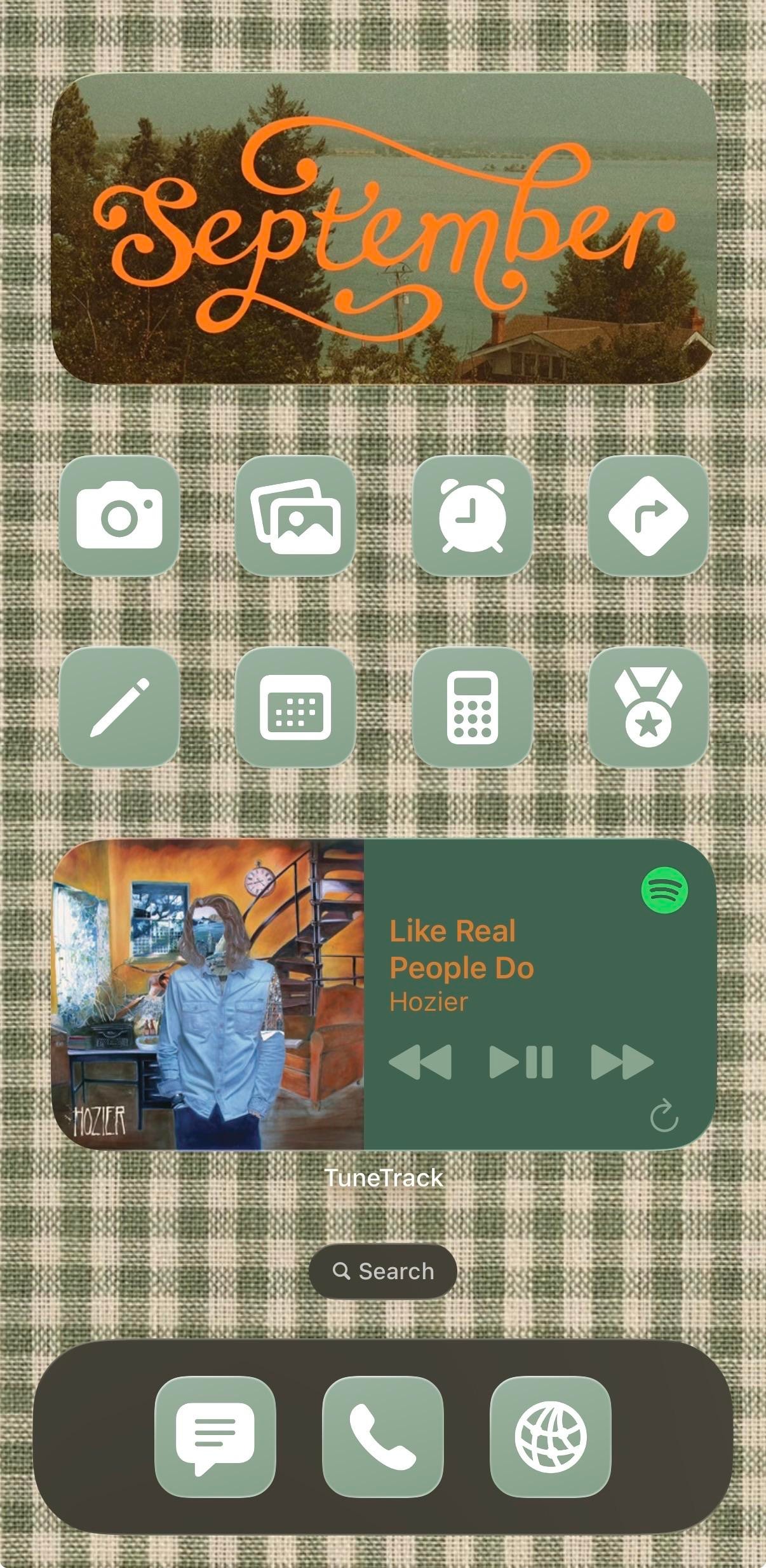 A gingham September home screen with Hozier in the middle